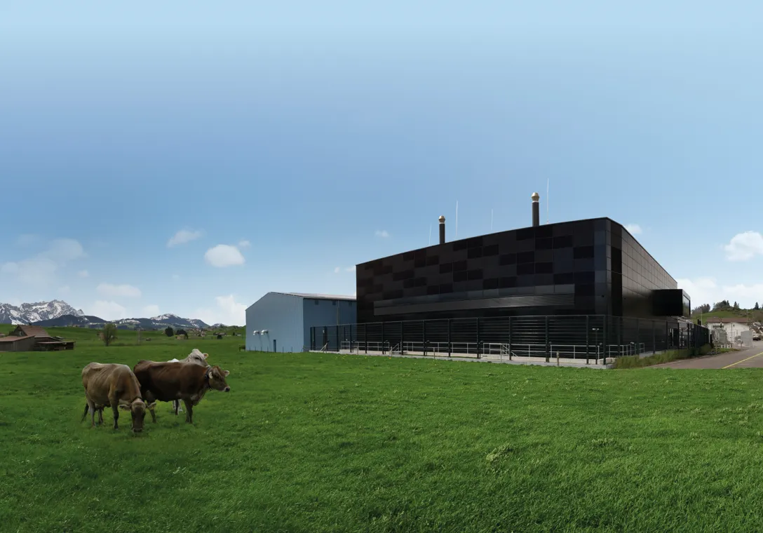 Aussenansicht des Rechenzentrums RZO in Gais, Appenzell. Das komplett von Photovoltaik umhüllte Gebäude steht direkt bei einer Kuhweide. Davor grasen einige Kühe. Im Hintergrund sind Berge und blauer Himmel.
